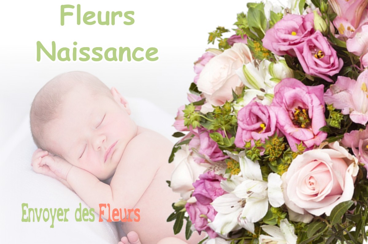 lIVRAISON FLEURS NAISSANCE à VAUJANY